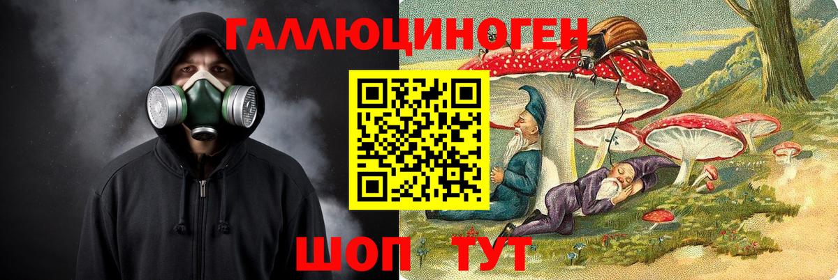Галлюциногенные грибы Psilocybe  Вход с VPN  Ахтубинск 